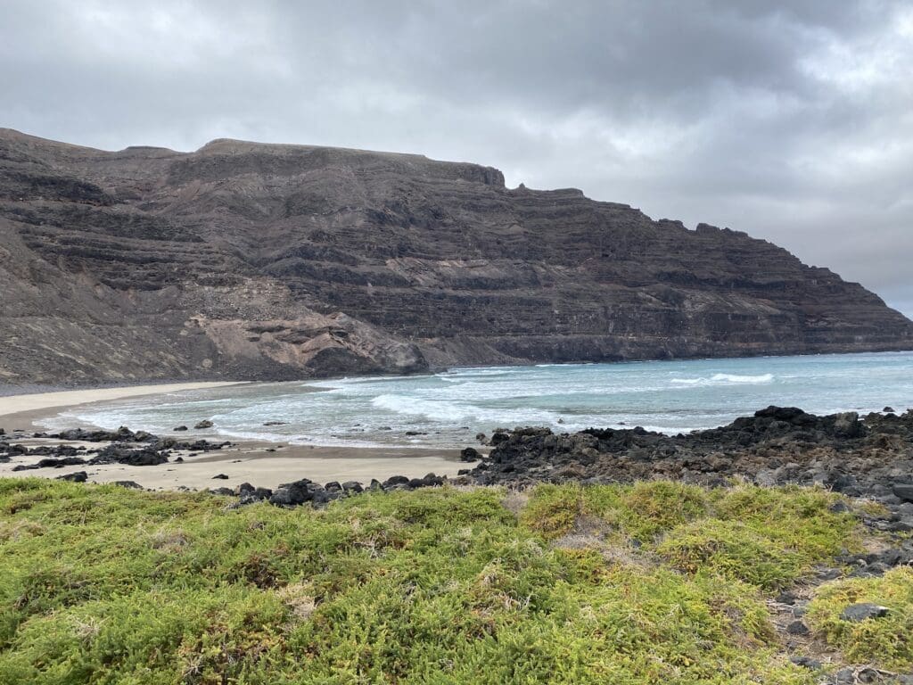 Das Bild zeigt die Pflanzenwelt an der Küste von Lanzarote